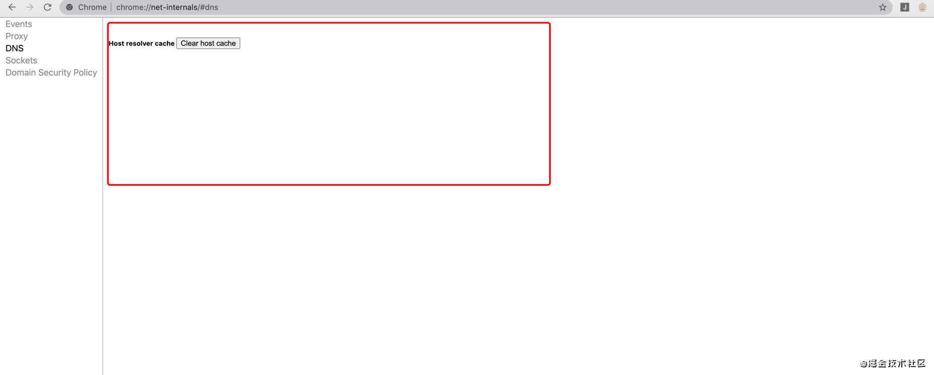 DNS 黑魔法传送门